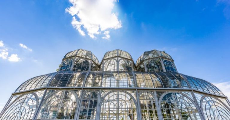 Curitiba arrecadou R$ 236 milhões em multas de trânsito: para onde vai esse dinheiro?